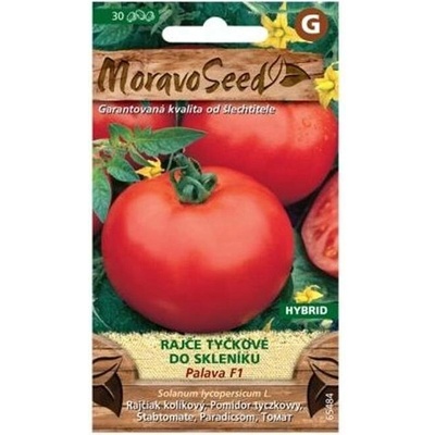 MoravoSeed CZ a.s. MoravoSeed Rajče tyčkové do skleníku PALAVA F1