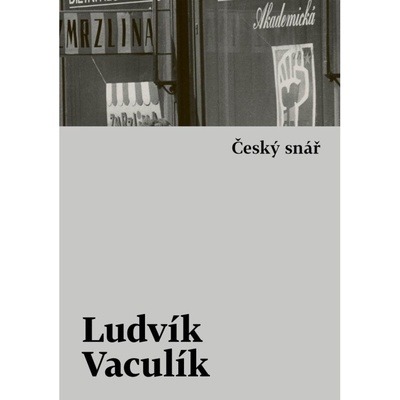Český snář s komentářovým výkladem - Ludvík Vaculík