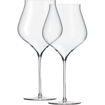 Holmegaard Чаши за бургундско вино Notes 2 бр (4304701)