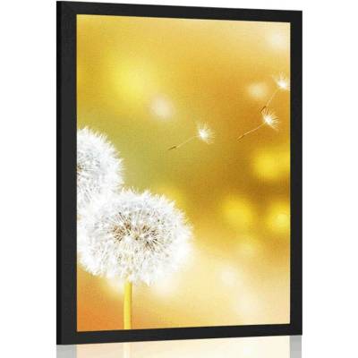 Plakát pampeliška - 60x90 no frame