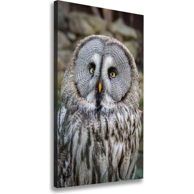 Vertikálny foto obraz tlačený na plátne Sova 50x100 cm