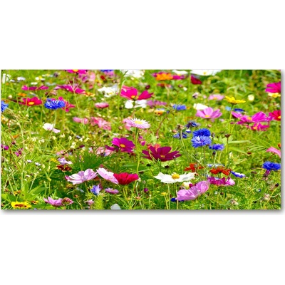 Fotoobraz na skle Plolní kvety 100x50 cm