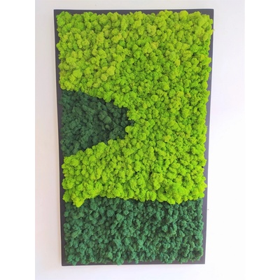 Machový obraz v čiernom ráme 135cm x 65cm
