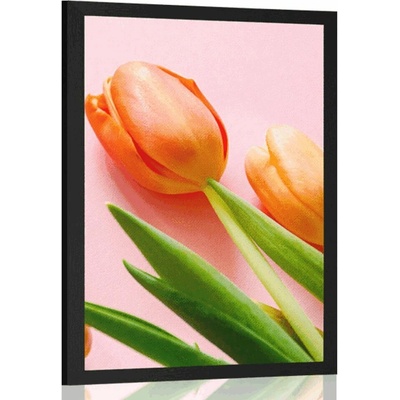 Plakát tulipán - 20x30 black