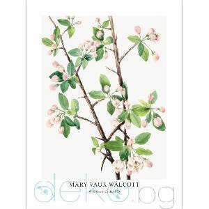 Принт Wild Sweet Crab, Мери Во Уолкът - репродукция (Print1024)