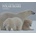 Polar Bears