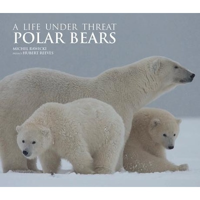 Polar Bears