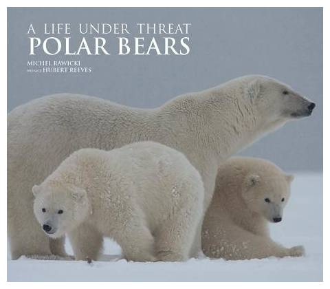 Polar Bears