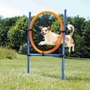 AGILITY kruh preskakovací