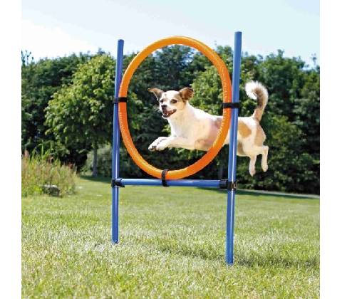 AGILITY kruh preskakovací