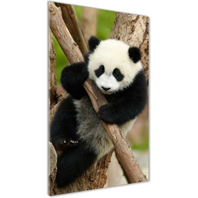 Vertikálny fotoobraz na skle Panda na strome 50x100 cm