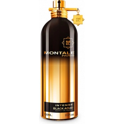 Montale Paris Black Aoud Intense parfumovaná voda pánska 100 ml