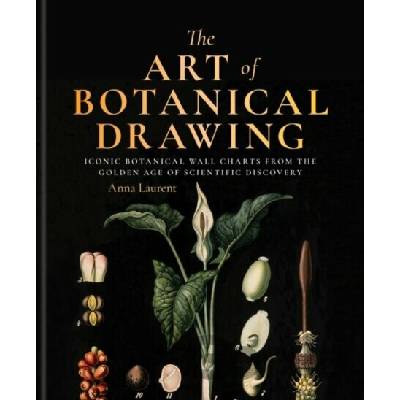 The Art of Botanical Drawing - Anna Laurent