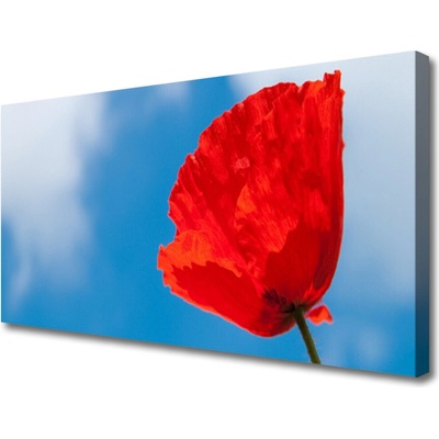 Obraz na plátně Tulipán 100x50 cm