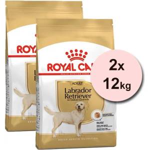 Royal Canin Labrador Adult гранули за възрастни кучета от породата лабрадор ретривър 2 x 12 кг