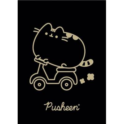 Unipap Zošit A5 kockovaný okraj Pusheen Gold pre dievča