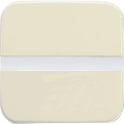 Busch-Jaeger 2CKA006800A2877