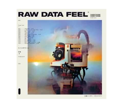 EVERYTHING EVERYTHING - RAW DATA FEEL LP