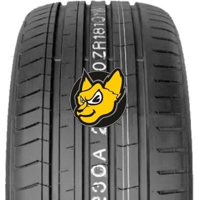 Kustone Passion P9 255/40 R19 100W