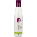 Berrywell hĺbkovo čistiaci šampón 251 ml