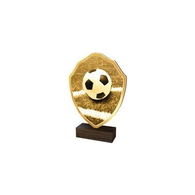 Poháry Bauer Dřevěná plaketa TFRW313 Fotbal