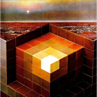 BLACK MOUNTAIN - IN THE FUTURE LP