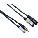 Bespeco EAY2X2R500