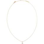 Daniel Wellington Дамско позлатено колие Daniel Wellington DW00401959 Daniel Wellington | Mnogotsveten | ЖЕНИ | UNI