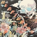 SHINS: HEARTWORMS LP