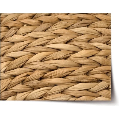 Sablio Plagát Banánové listy 2 - 60x40 cm