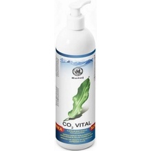 Rataj CO2 Vital 500 ml