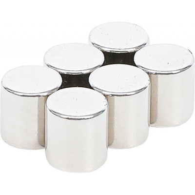 BGS Diy BGS 79919 Sada magnetů extra silné Ø 9,5 mm 6dílná – Zboží Mobilmania
