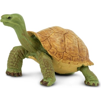 Safari Giant Tortoise