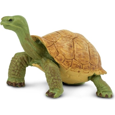 Safari Giant Tortoise