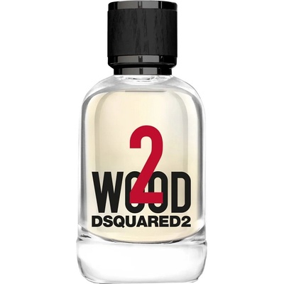 Dsquared2 2 Wood toaletní voda pánská 100 ml