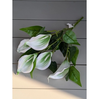Sempro Kytička KALA 102A bielo-zelena 40cm