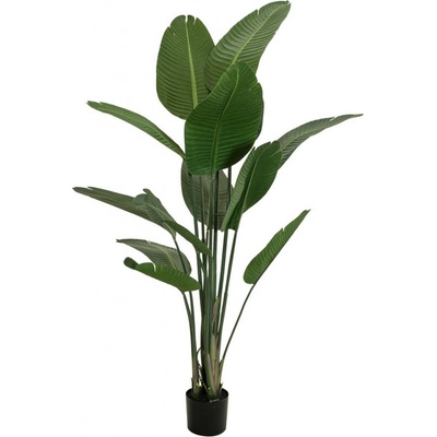 Umělá palma Strelície, 170cm