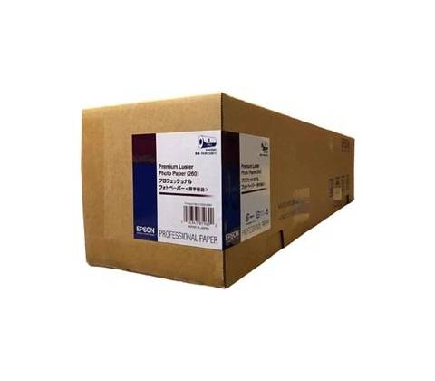 Epson C13S042080