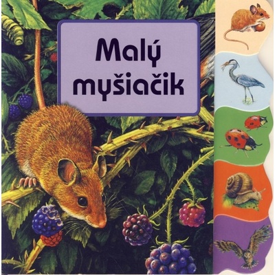 Malý myšiačik Kolektív