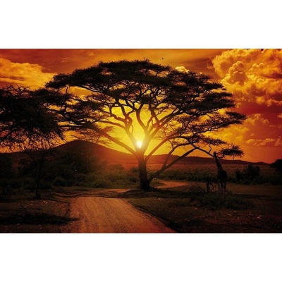 Postershop Fototapeta vliesová Africký západ slunce, rozměry 254x368 cm