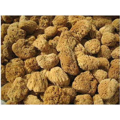 Naturgreen přírodní mycí mořská houba Silk velmi jemná kosmetická 5-6 cm – Zboží Dáma