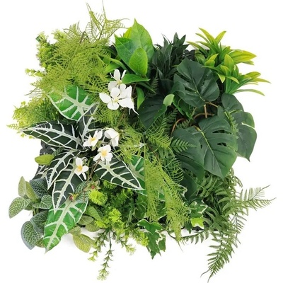MINI WALL GREEN Alocasia, dielec 50 x 50 cm