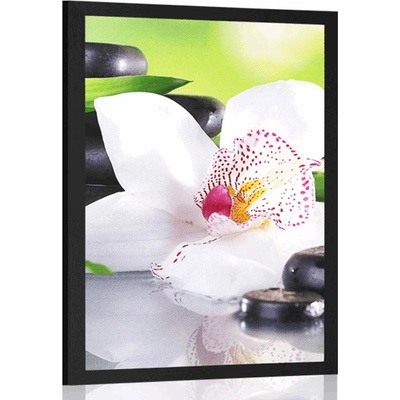 Plakát japonská orchidej - 30x45 white