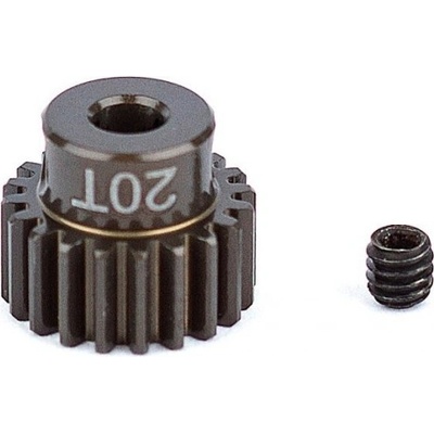 Associated Pastorek 20 zubů modul 48DP Factory Team