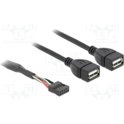 Delock 83823 USB 2.0 USB A zásuvka x2 kolíkový konektor 10pin 0,4m