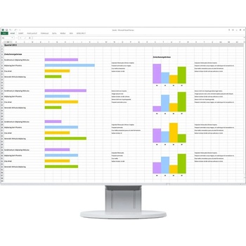 Eizo FlexScan EV2495-WT