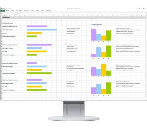 Eizo FlexScan EV2495-WT