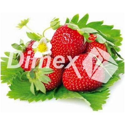 DIMEX | Obraz na skle | Jahody GL-30-007 | 30 x 30 cm