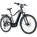 Leader Fox Saba 2024