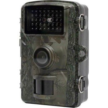 HOME WILDCAM1